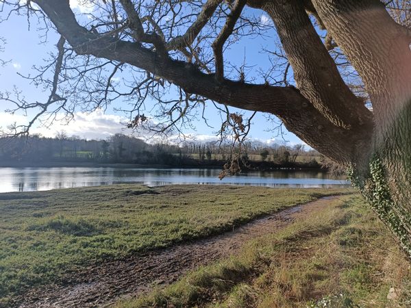 Nateldia home sur les rives de l'Odet