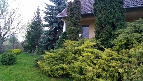 La maison de Orsolya