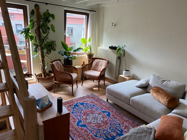 Bright anf cosy little home in the city centre