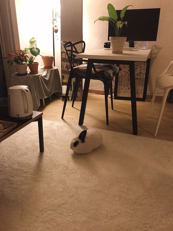 La maison de Somin