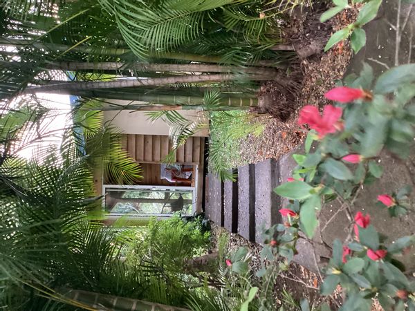 La chambre privée de Delphine