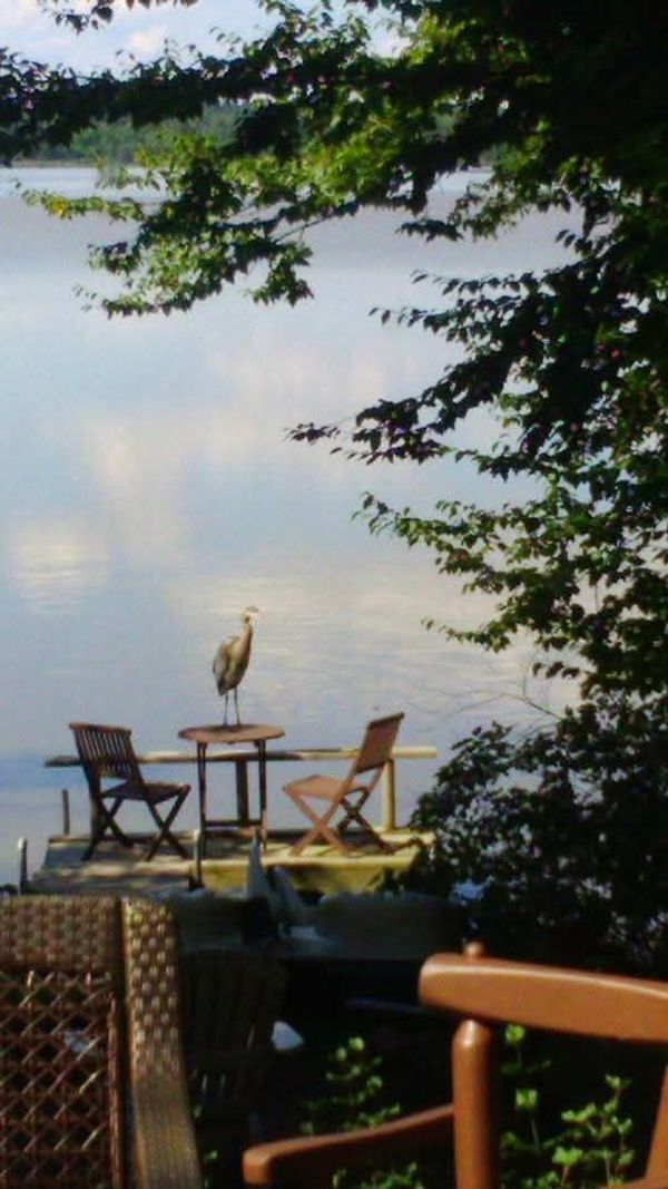Superbe appartement vue sur le lac et jacuzzi