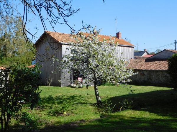 Maison au coeur des vignes