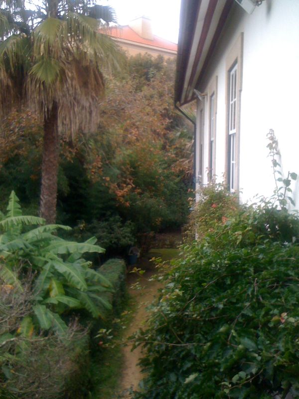 La maison de Sara
