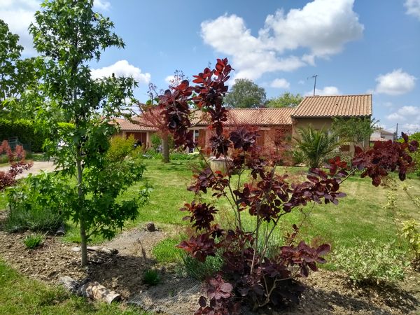 Chez Emma & Hervé (près de Toulouse)