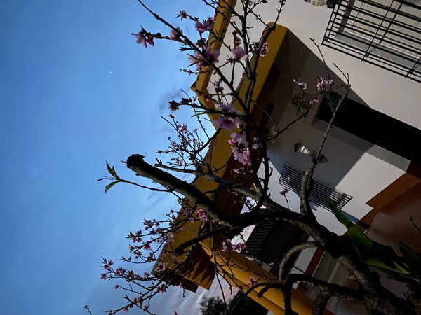 La maison de Jacobo