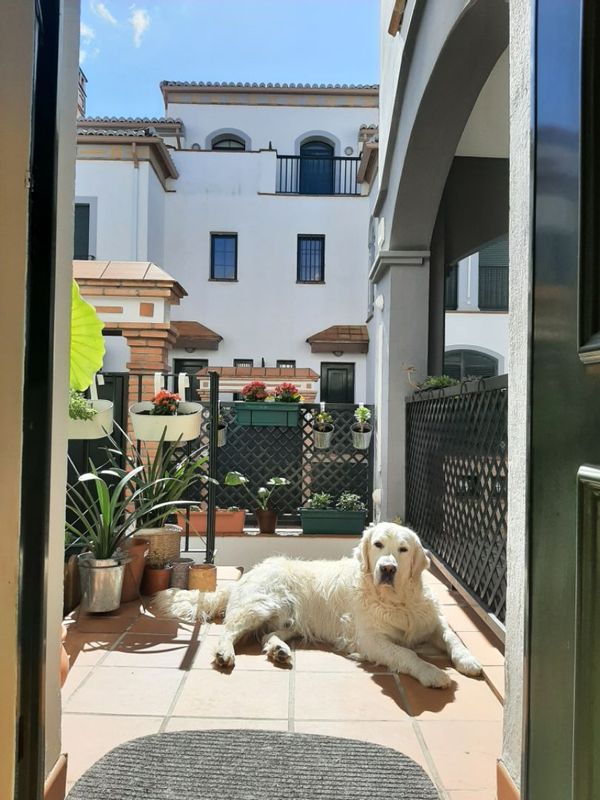 La maison de Gustavo y Leonor