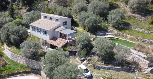 Le Cabanon d‘Antoine entouré d’oliviers