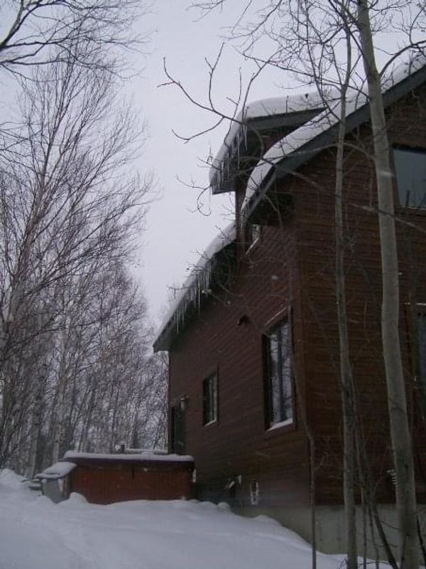 Maison-chalet au cœur de la forêt