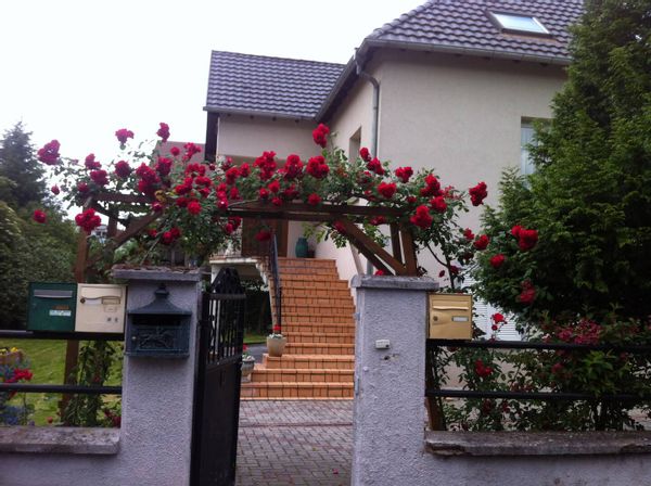 Appartement en rez-de-jardin proche de Strasbourg