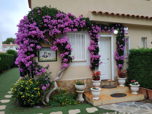 MAISON DE PLAGE AVEC BEAU JARDIN.