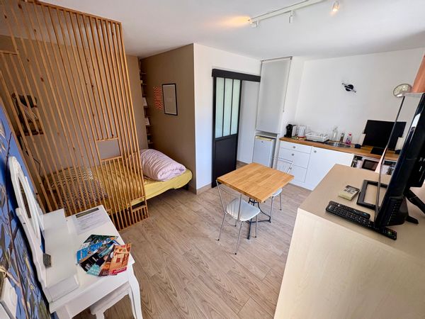 Entre Avignon, Pont du Gard, Nîmes et Uzès, L’Olivigne studio charmant et cosy