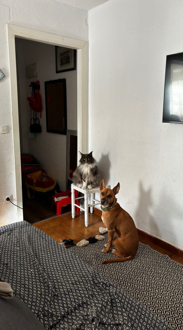 La maison de Romina