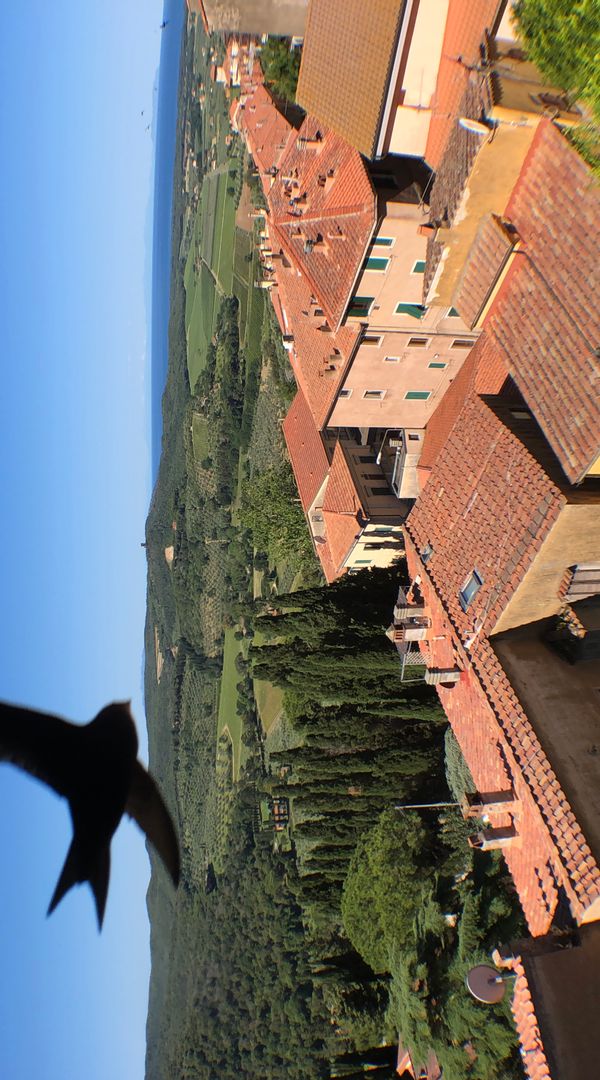 La maison de Fabi
