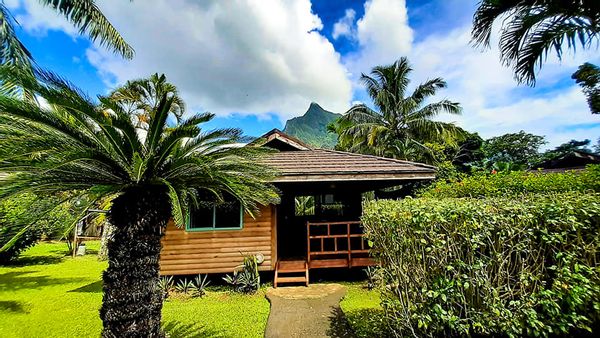 Bungalow en pleine nature de Meghan & Julien