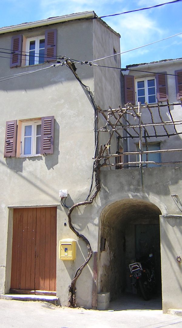 Petite maison ds le Cap Corse