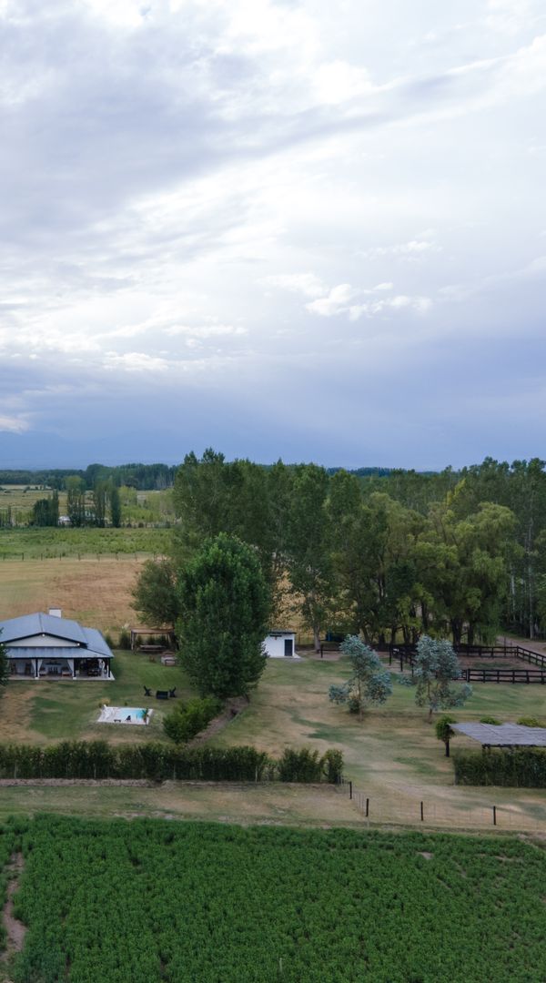 La maison de Maximo
