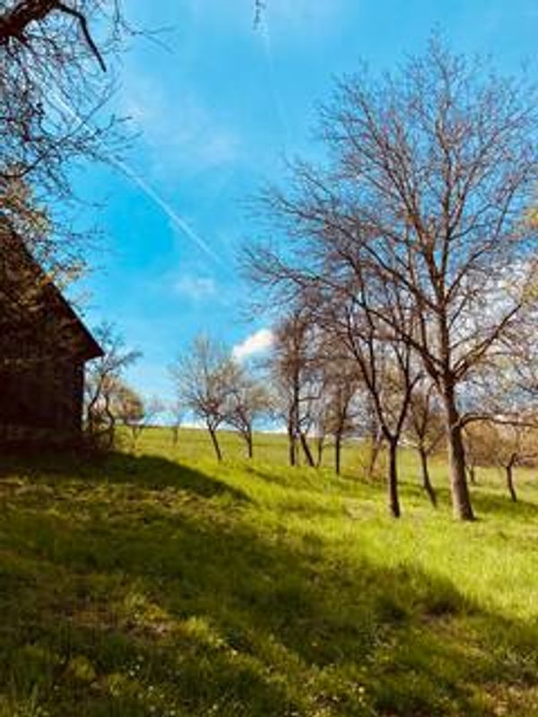 La maison de Štefan