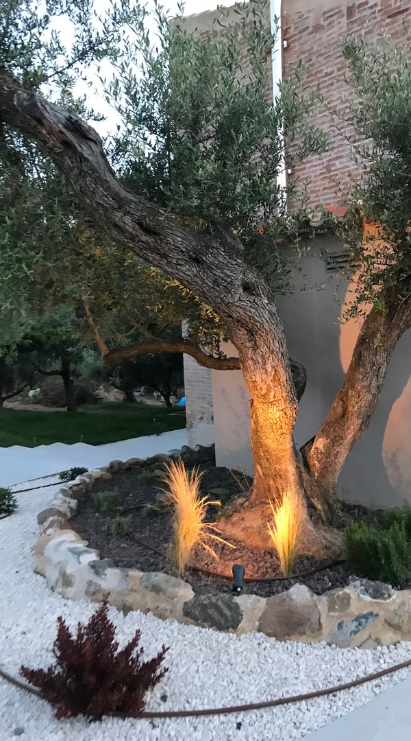 La maison de DARIO