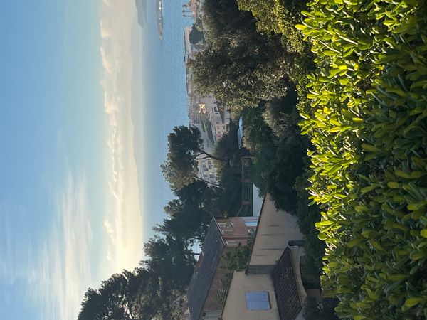Vue mer et jardin au Lavandou