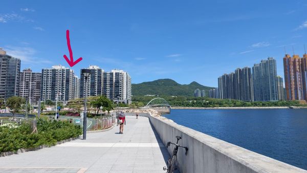 Appartement rénové 3 chambres avec rooftop vue sur la mer
