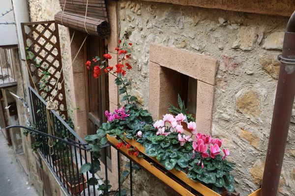 La maison de Sleeping In The Stable