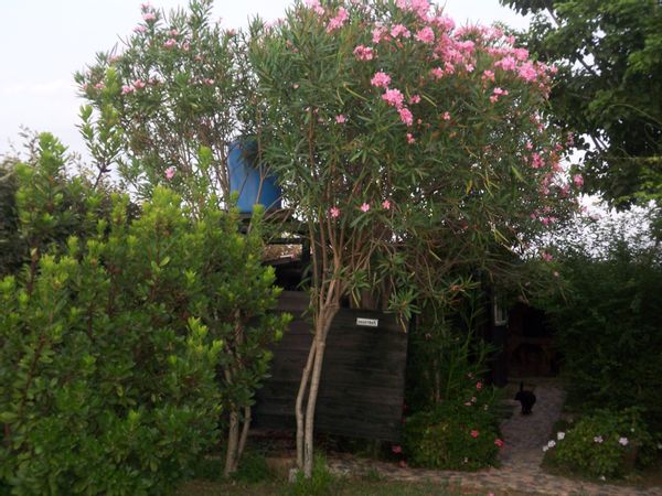 La maison de Franca