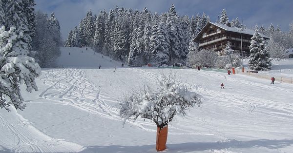 La maison de Alessa