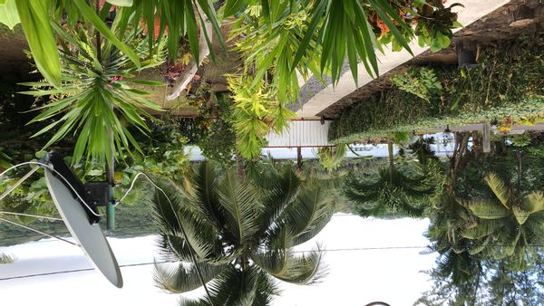 maison à Tahaa