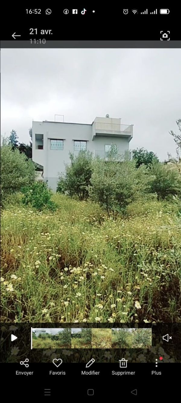 La maison de Mtouaa
