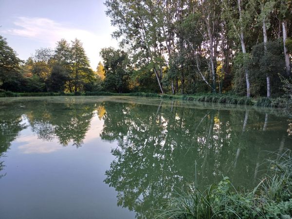 Maison avec étang  privé et ruisseau !