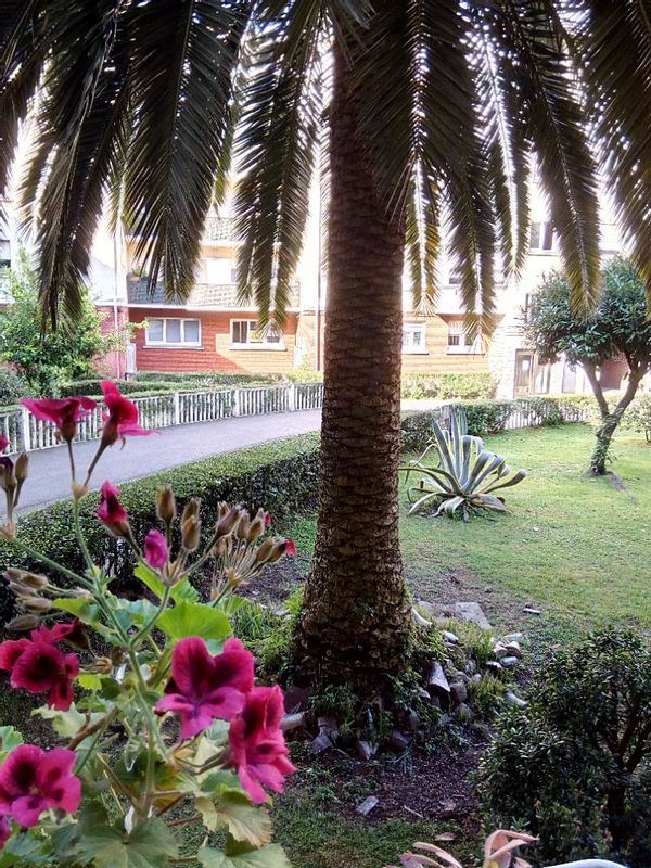 La maison de Luis