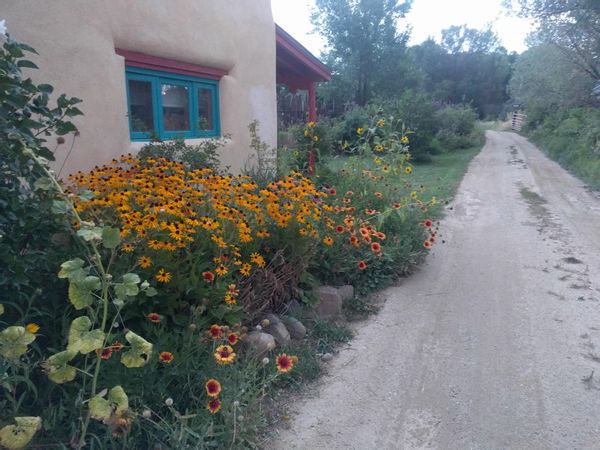 La maison de Tara