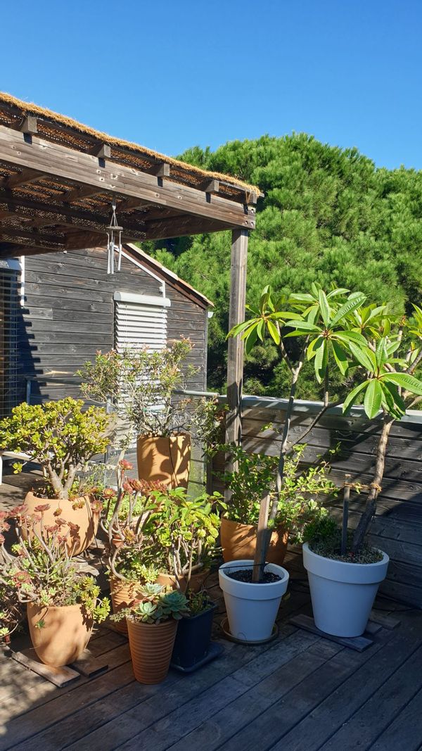 La maison d'Anaïs dans le Golfe de Saint Tropez