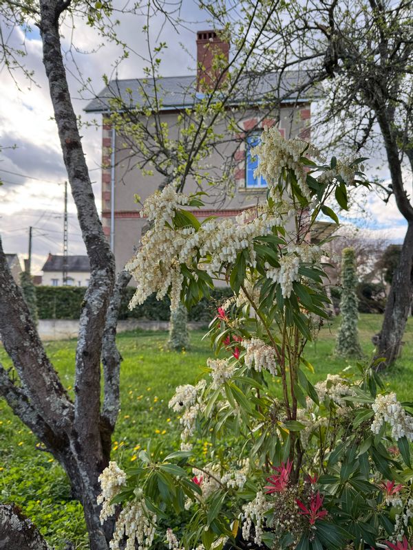Charmante maison de campagne rénovée avec soin, idéale pour 8–10 voyageurs.