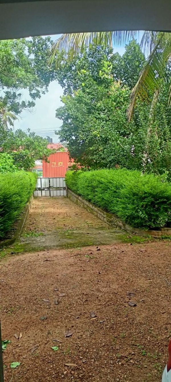La maison de Bijo