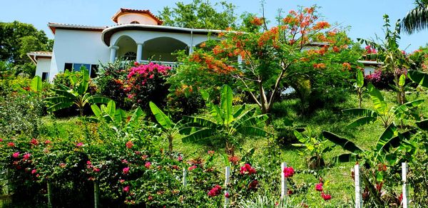 La maison de Julio