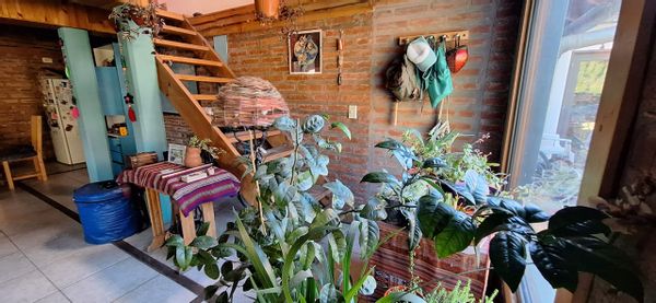 La maison de sofia