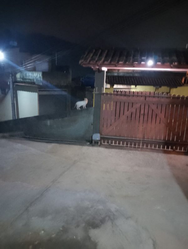 La maison de Tânia