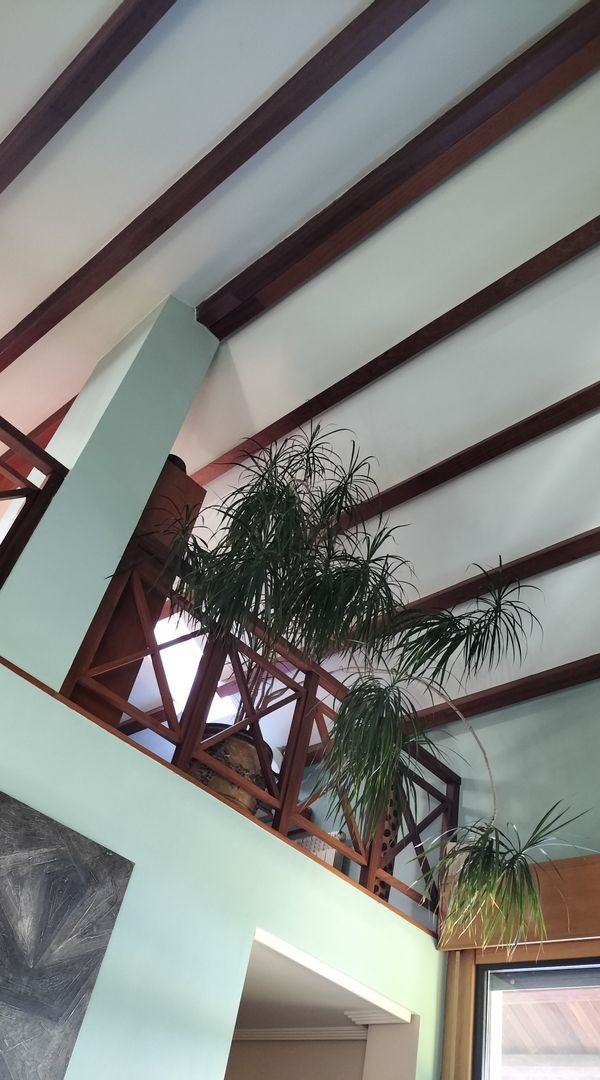 La maison de Javier