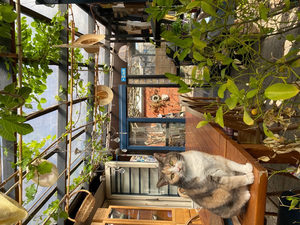 La maison de Mia