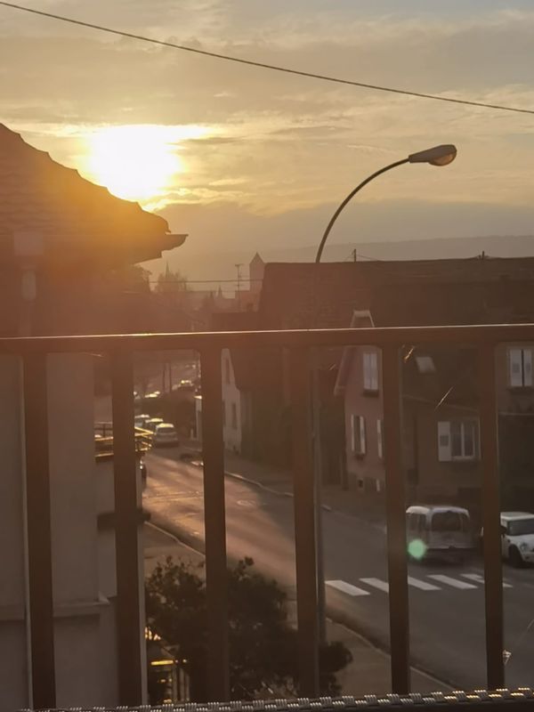 Nice cosy apartment in Rosheim