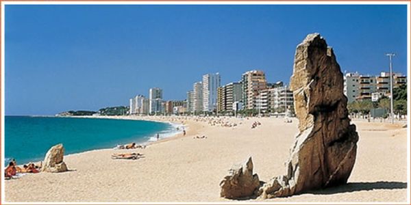 Desolées, nous ne pouvons pas assurer encore les échanges des vacances 2025. Pouvais écrire. Merci!
