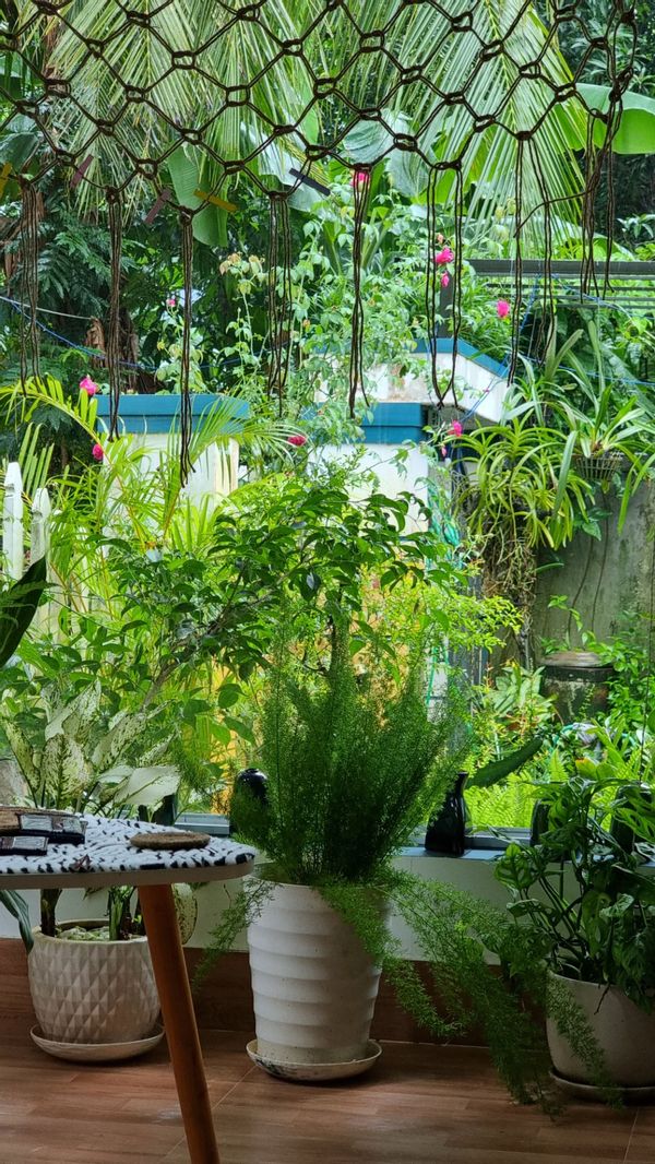 La maison de Nguyen