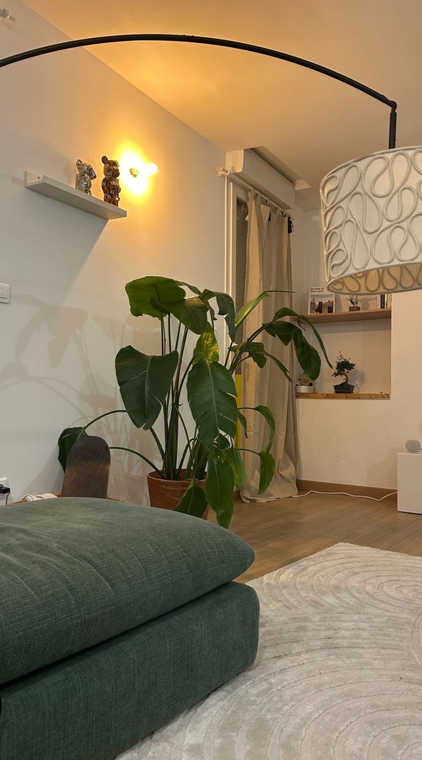 Paem maison