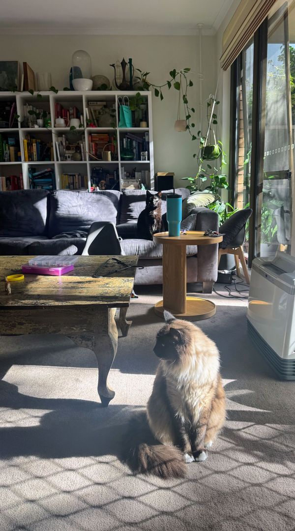 La maison de Lena