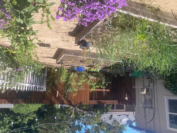 La maison de Jessica