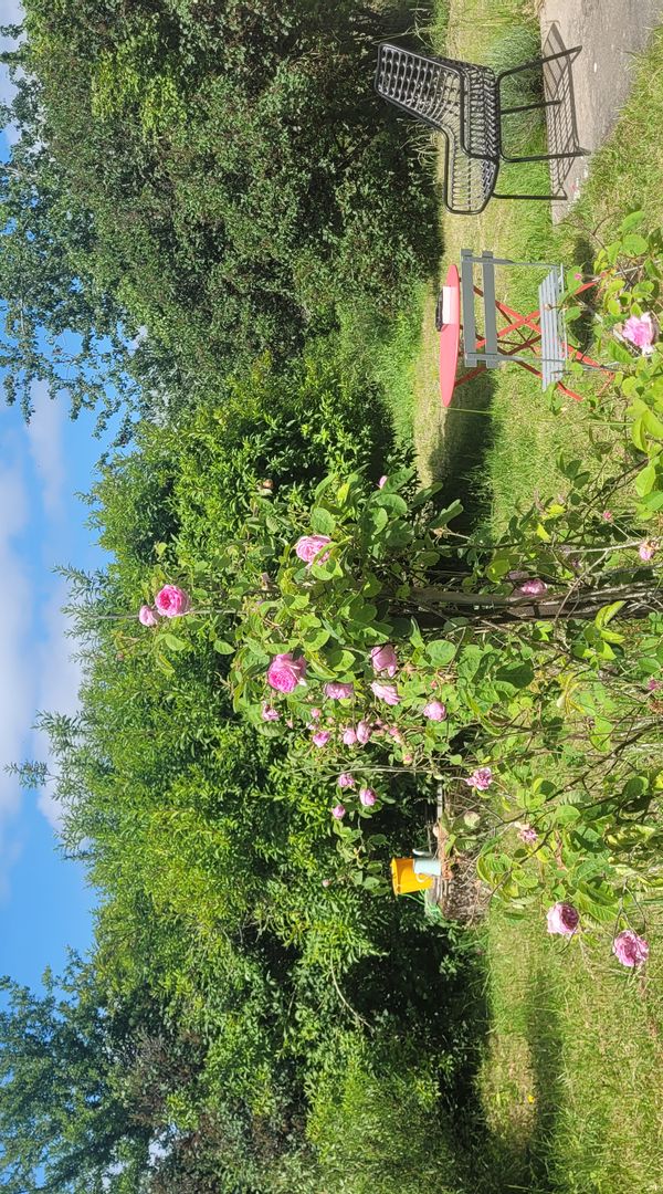 Jolie maison avec grand terrain dans un village  avec plusieurs commerces au coeur du Morvan (lacs)