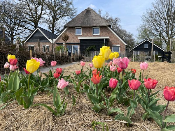 La maison de Michiel en Arja