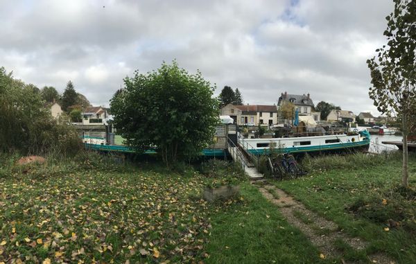 Le Séquoïa